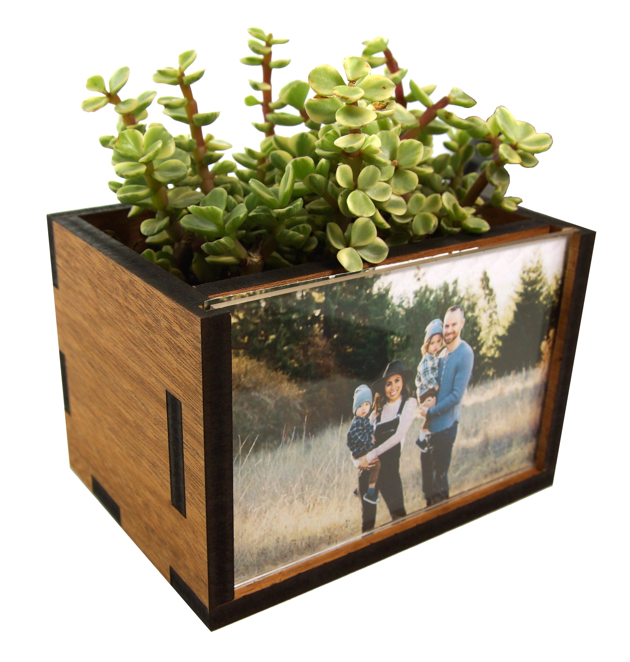 http://www.woodchuckusa.com/cdn/shop/products/Planter.jpg?v=1640795818